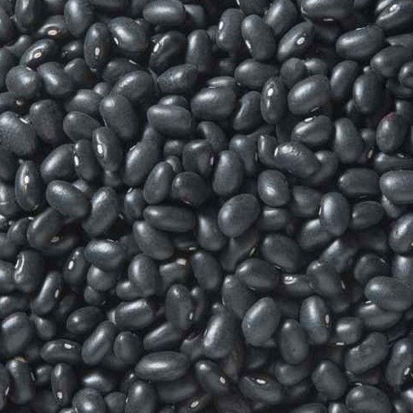 Black Bean
