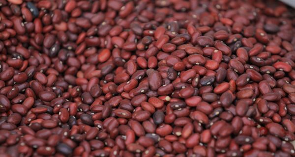 Red Kidney Bean