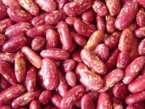 Red Speckled kidney Bean