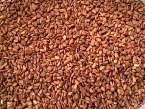 Reddish Sesame Seeds
